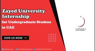 Zayed University Internship